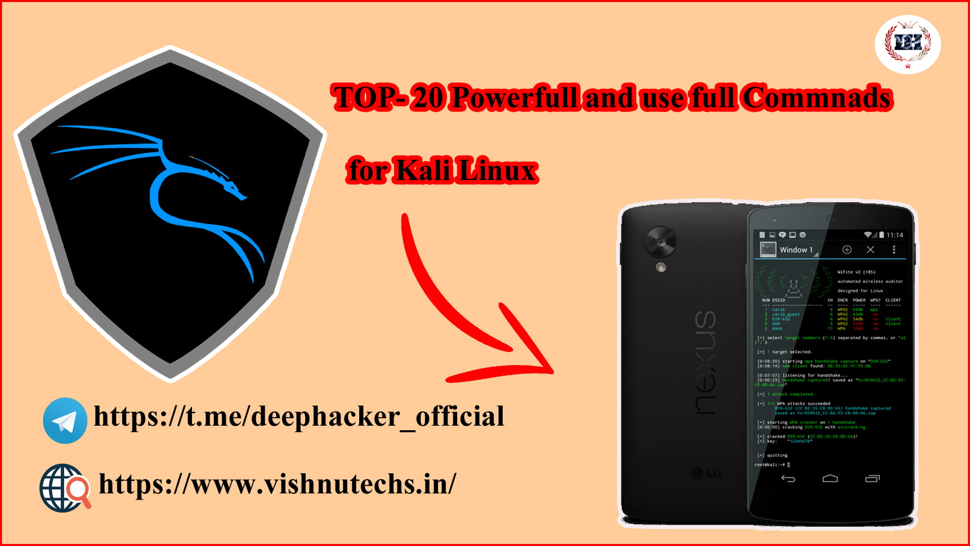 Kali Linux Commands Copy
